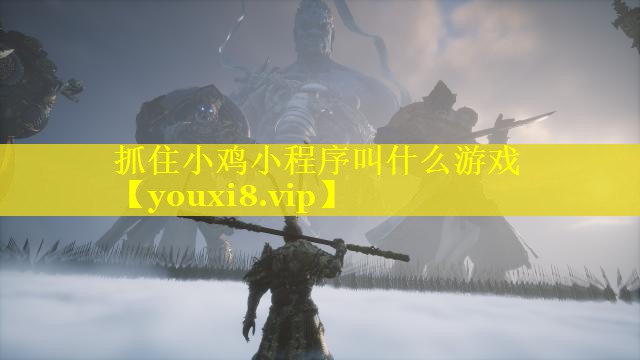 抓住小鸡小程序叫什么游戏